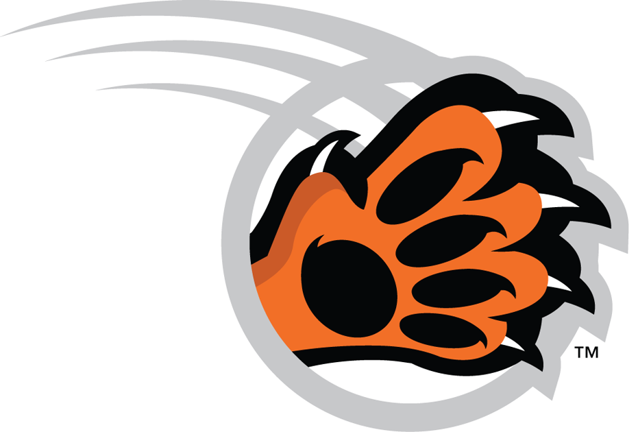 RIT Tigers 2004-Pres Alternate Logo v4 iron on transfers for fabric